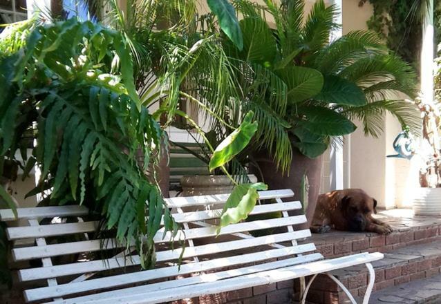 Mavilla Stellenbosch B&B Exteriör bild